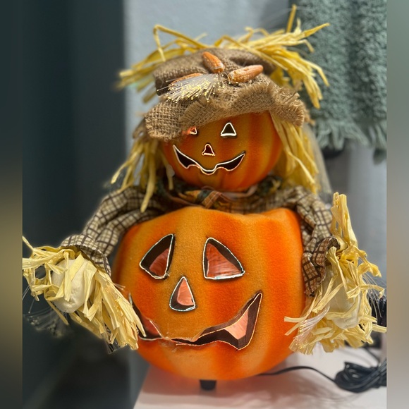 Vintage 2005 Pumpkin Hollow Fiber Optic Scarecrow Halloween 12” Jack O Lantern - Picture 7 of 7